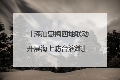 深汕惠揭四地联动开展海上防台演练