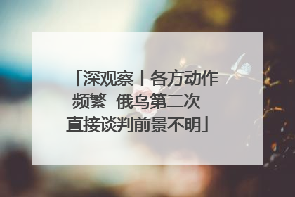 深观察丨各方动作频繁  俄乌第二次直接谈判前景不明
