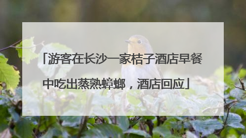 游客在长沙一家桔子酒店早餐中吃出蒸熟蟑螂，酒店回应