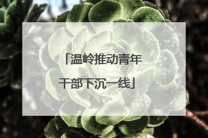 温岭推动青年干部下沉一线