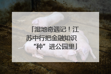 湿地奇遇记！江苏中行把金融知识“种”进公园里