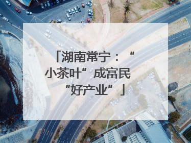 湖南常宁：“小茶叶”成富民“好产业”