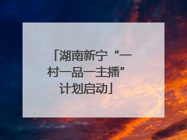 湖南新宁“一村一品一主播”计划启动