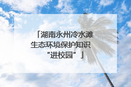 湖南永州冷水滩生态环境保护知识“进校园”