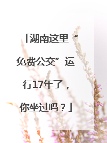湖南这里“免费公交”运行17年了，你坐过吗？
