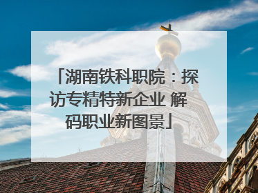 湖南铁科职院：探访专精特新企业 解码职业新图景