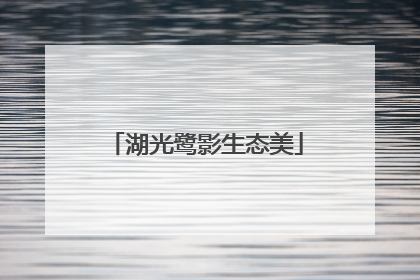 湖光鹭影生态美