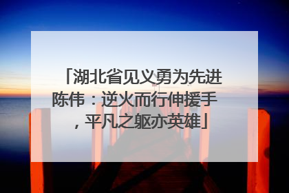 湖北省见义勇为先进陈伟：逆火而行伸援手，平凡之躯亦英雄
