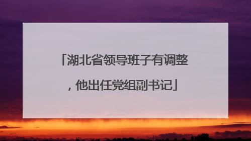 湖北省领导班子有调整，他出任党组副书记