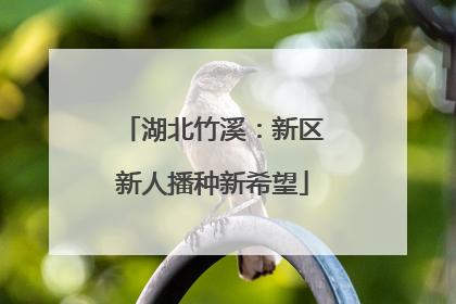 湖北竹溪：新区新人播种新希望