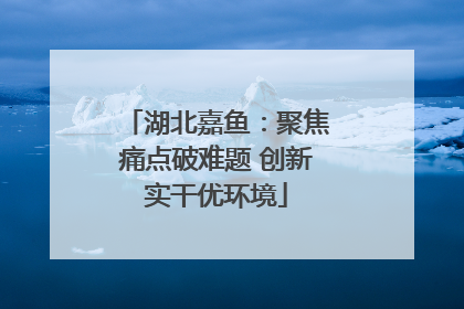 湖北嘉鱼：聚焦痛点破难题 创新实干优环境