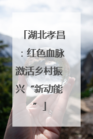 湖北孝昌：红色血脉激活乡村振兴“新动能”