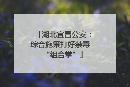 湖北宜昌公安：综合施策打好禁毒“组合拳”