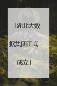 湖北大数据集团正式成立