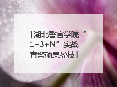 湖北警官学院“1+3+N”实战育警硕果盈枝