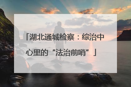 湖北通城检察：综治中心里的“法治前哨”