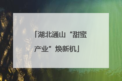湖北通山“甜蜜产业”焕新机
