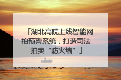 湖北高院上线智能网拍预警系统，打造司法拍卖“防火墙”