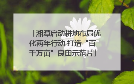 湘潭启动耕地布局优化两年行动 打造“百千万亩”良田示范片