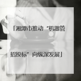 湘潭市推动“机器管招投标”向纵深发展