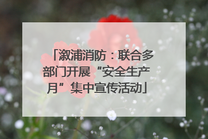 溆浦消防：联合多部门开展“安全生产月”集中宣传活动