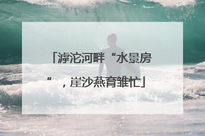 滹沱河畔“水景房”，崖沙燕育雏忙