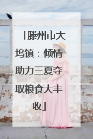 滕州市大坞镇：倾情助力三夏夺取粮食大丰收