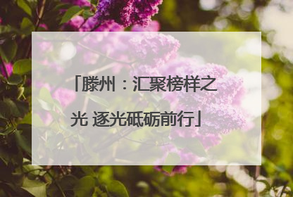 滕州：汇聚榜样之光 逐光砥砺前行