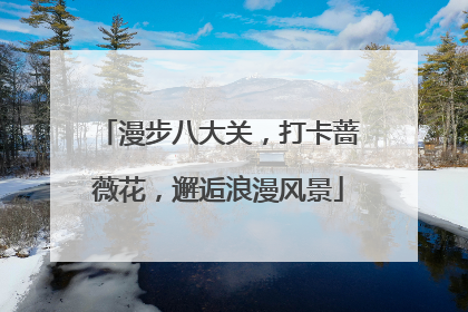 漫步八大关，打卡蔷薇花，邂逅浪漫风景