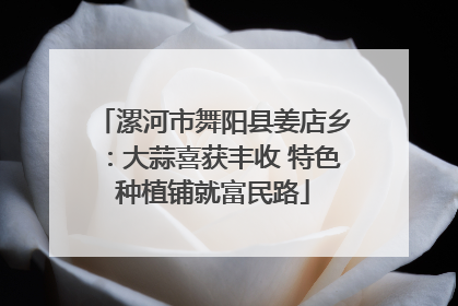 漯河市舞阳县姜店乡：大蒜喜获丰收 特色种植铺就富民路