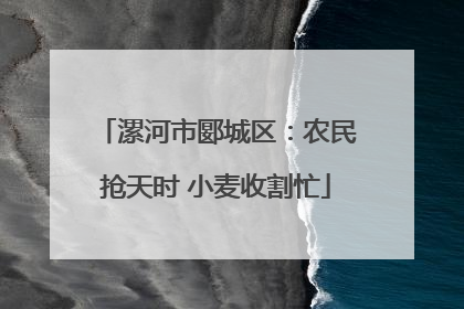 漯河市郾城区：农民抢天时 小麦收割忙