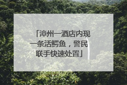 漳州一酒店内现一条活鳄鱼，警民联手快速处置