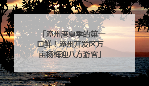 漳州港夏季的第一口鲜！漳州开发区万亩杨梅迎八方游客