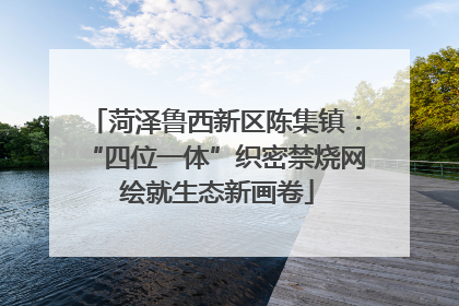 菏泽鲁西新区陈集镇：“四位一体”织密禁烧网 绘就生态新画卷