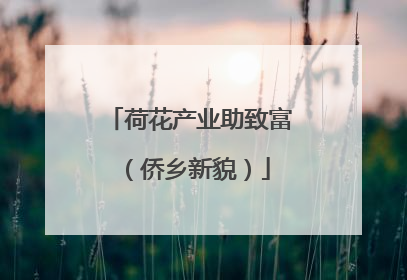 荷花产业助致富（侨乡新貌）