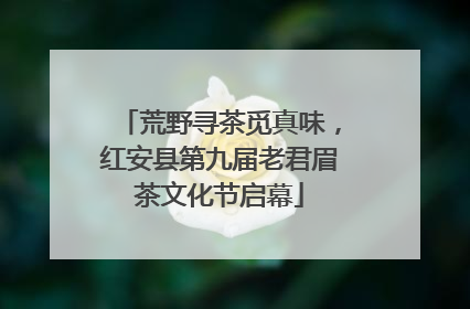 荒野寻茶觅真味，红安县第九届老君眉茶文化节启幕