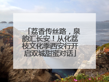 荔香传丝路，泉韵汇长安！从化荔枝文化季西安行开启双城甜蜜对话