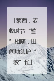 莱西：麦收时节“警”相随，田间地头护“农”忙