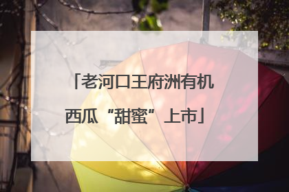 老河口王府洲有机西瓜“甜蜜”上市