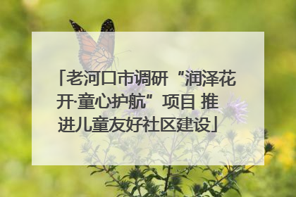老河口市调研“润泽花开·童心护航”项目 推进儿童友好社区建设