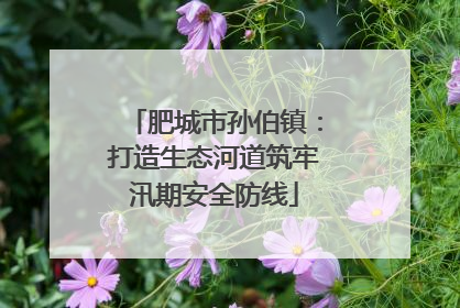 肥城市孙伯镇：打造生态河道筑牢汛期安全防线