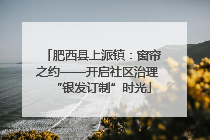 肥西县上派镇：窗帘之约——开启社区治理“银发订制”时光