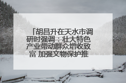 胡昌升在天水市调研时强调：壮大特色产业带动群众增收致富 加强文物保护推动文化创新发展