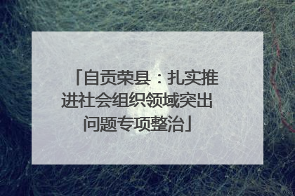 自贡荣县：扎实推进社会组织领域突出问题专项整治