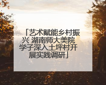 艺术赋能乡村振兴 湖南师大美院学子深入土坪村开展实践调研