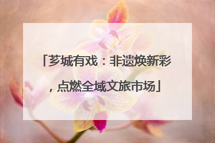 芗城有戏：非遗焕新彩，点燃全域文旅市场