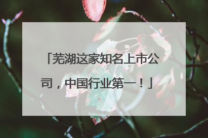 芜湖这家知名上市公司，中国行业第一！