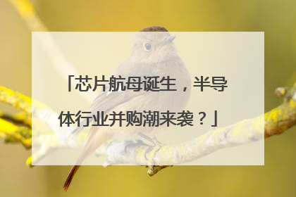 芯片航母诞生，半导体行业并购潮来袭？
