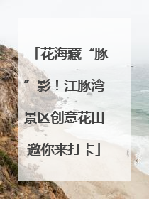 花海藏“豚”影！江豚湾景区创意花田邀你来打卡