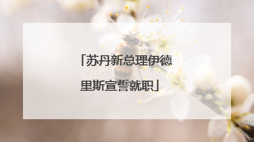 苏丹新总理伊德里斯宣誓就职